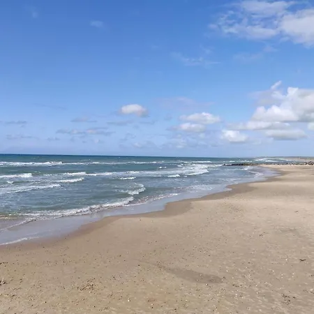 8 Person In Hjorring-by Traum *